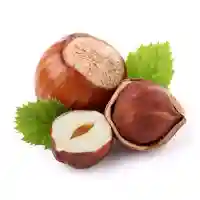 بندق