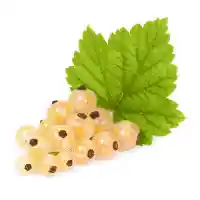 كشمش1