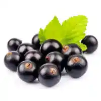 كشمش5