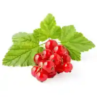 كشمش3